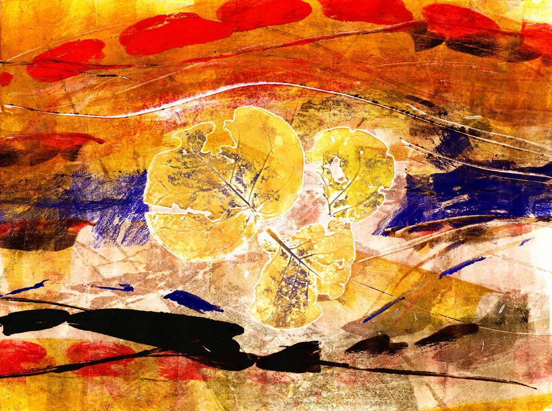 Feuilles de mer